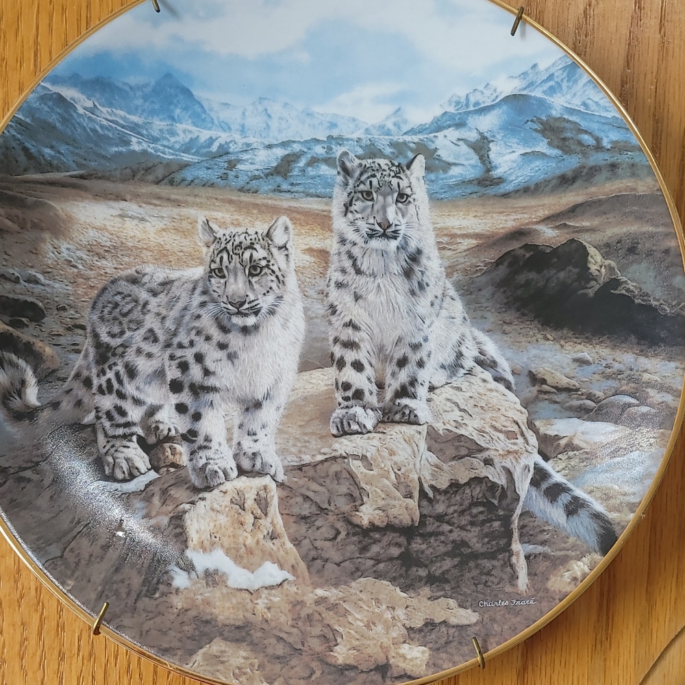 Decorative collection plates